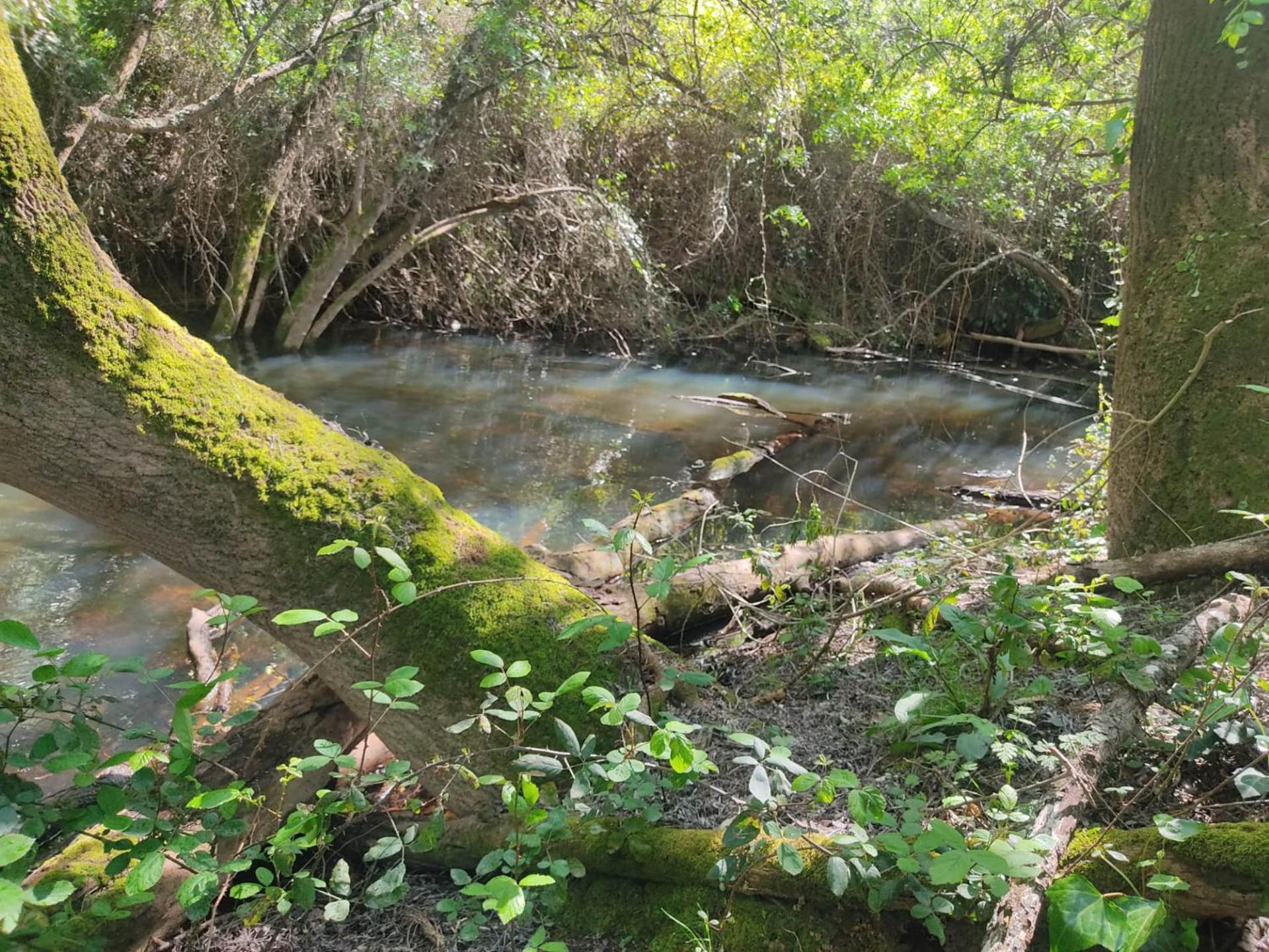 Herdade Da Maceira Villa São Luís Eksteriør bilde