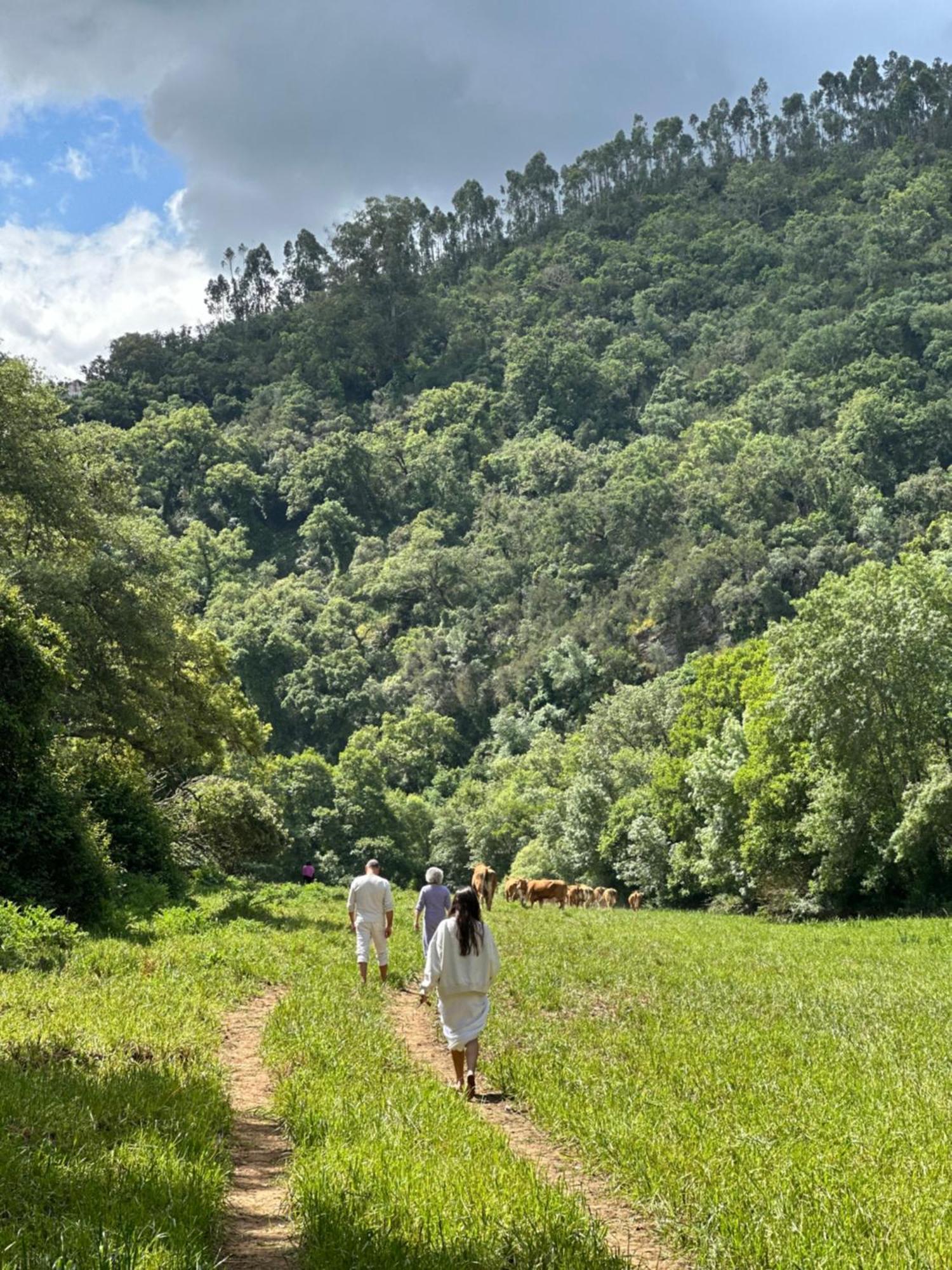 Herdade Da Maceira Villa São Luís Eksteriør bilde