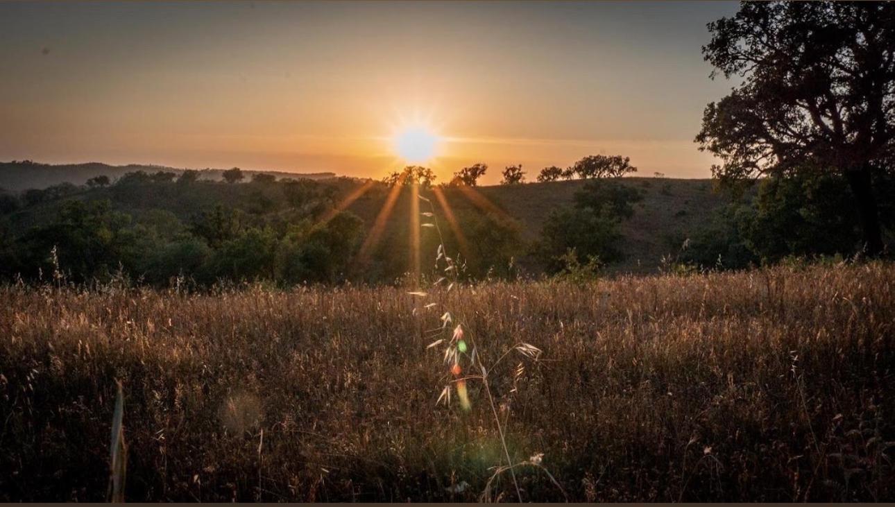 Herdade Da Maceira Villa São Luís Eksteriør bilde